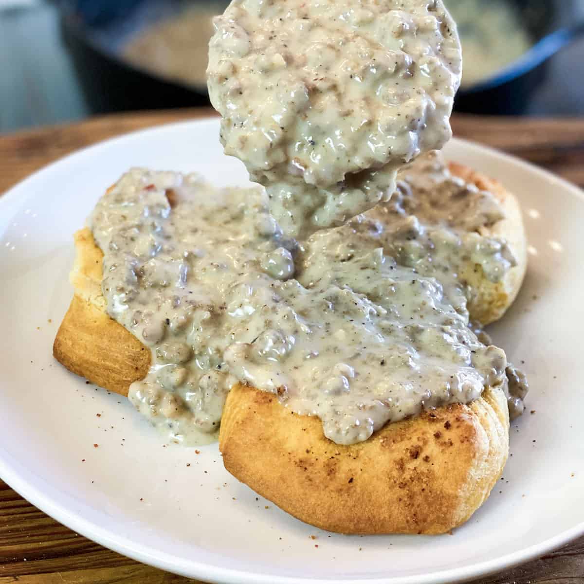 Biscuit and Gravy with Single Biscuit